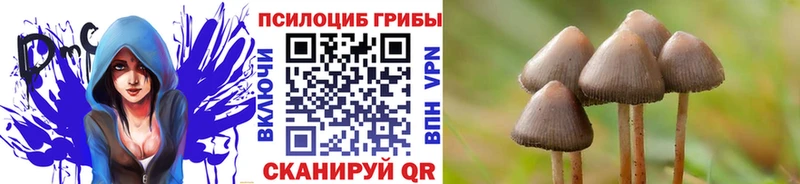 цены наркотик  кракен   Галлюциногенные грибы прущие грибы  Кемерово 