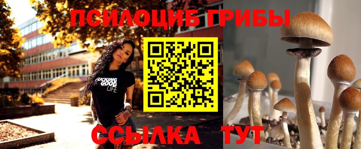 Псилоцибиновые грибы MAGIC MUSHROOMS  Кемерово 