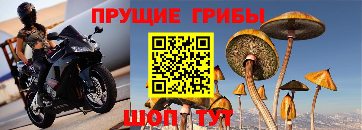 Псилоцибиновые грибы мухоморы Кемерово
